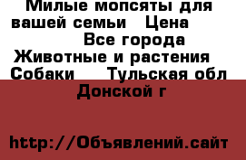 Милые мопсяты для вашей семьи › Цена ­ 20 000 - Все города Животные и растения » Собаки   . Тульская обл.,Донской г.